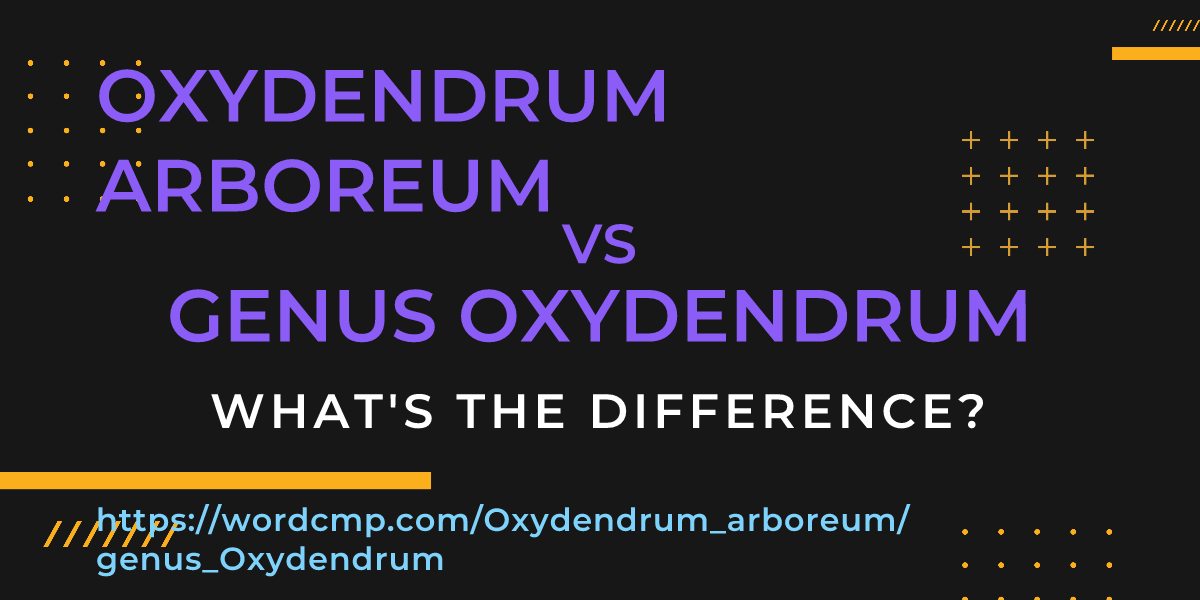 Difference between Oxydendrum arboreum and genus Oxydendrum