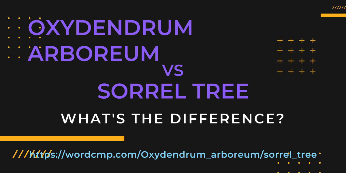Difference between Oxydendrum arboreum and sorrel tree