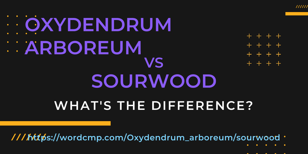 Difference between Oxydendrum arboreum and sourwood