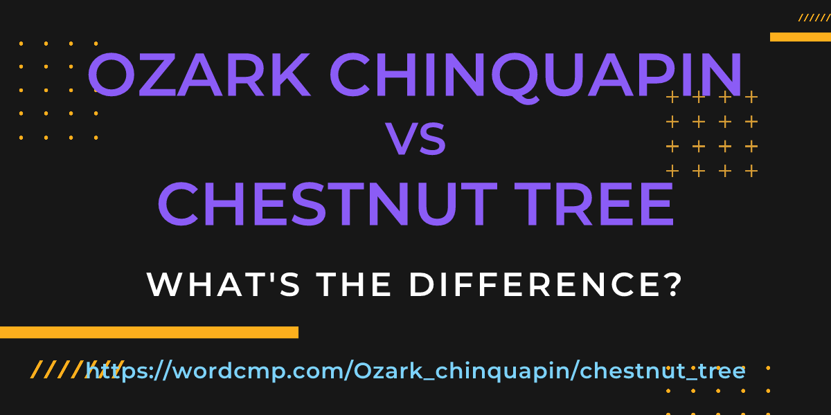 Difference between Ozark chinquapin and chestnut tree