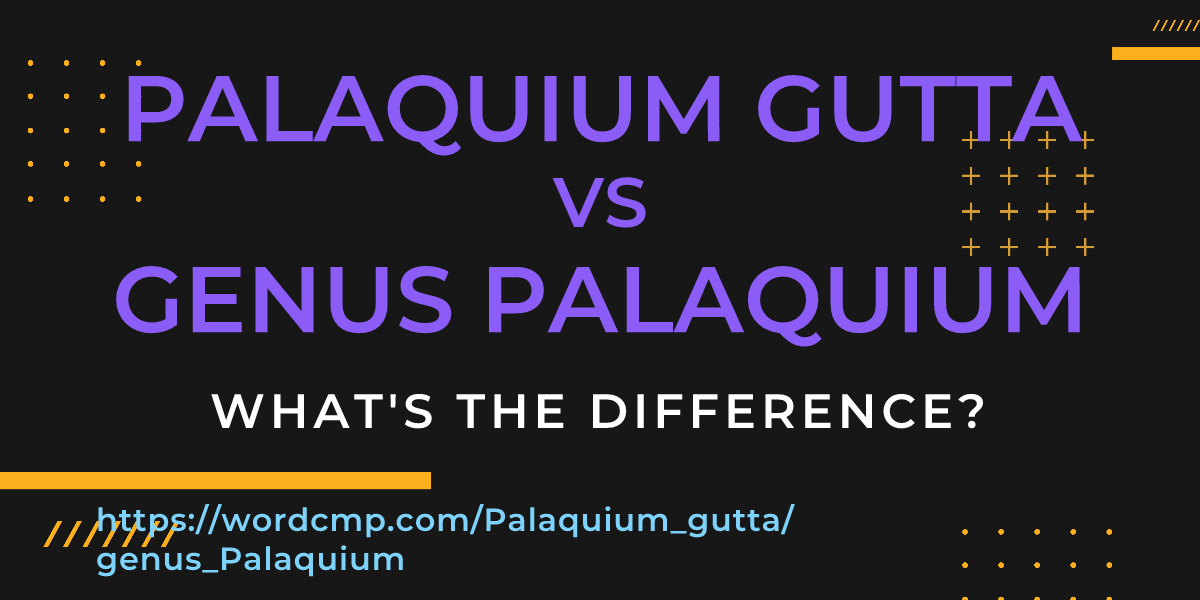 Difference between Palaquium gutta and genus Palaquium