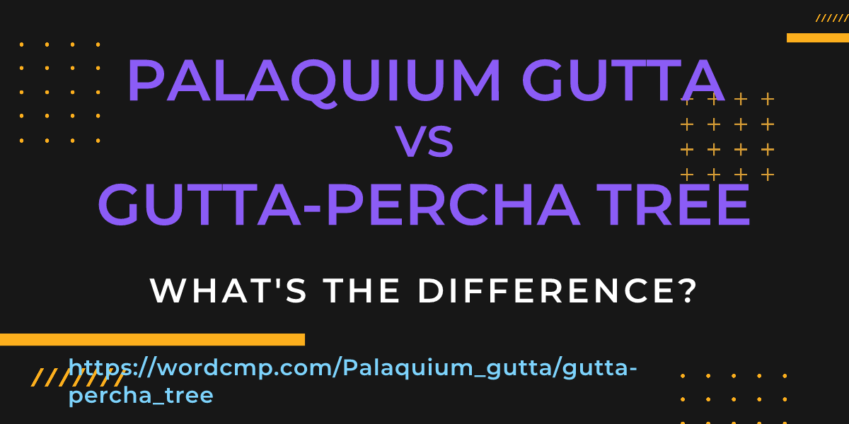 Difference between Palaquium gutta and gutta-percha tree