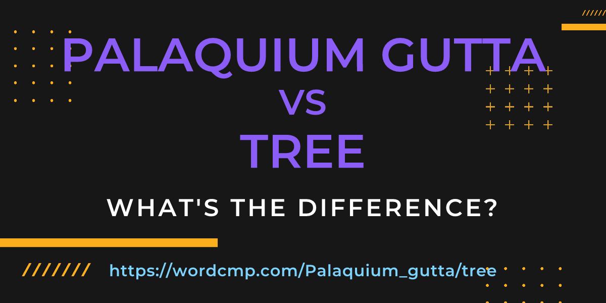 Difference between Palaquium gutta and tree