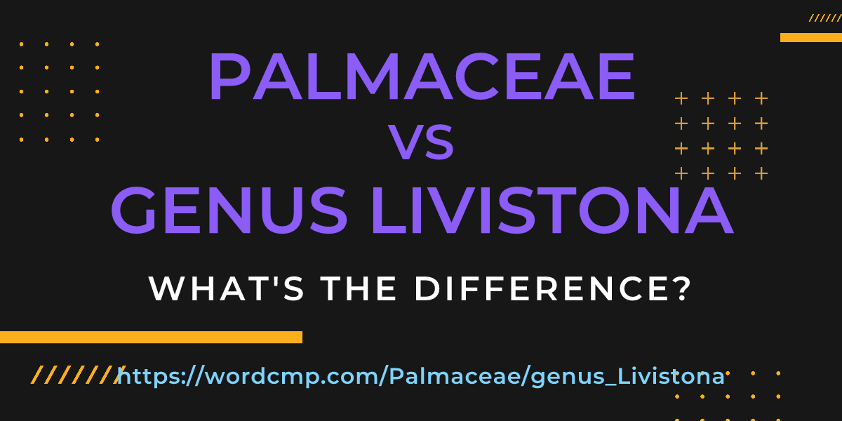 Difference between Palmaceae and genus Livistona