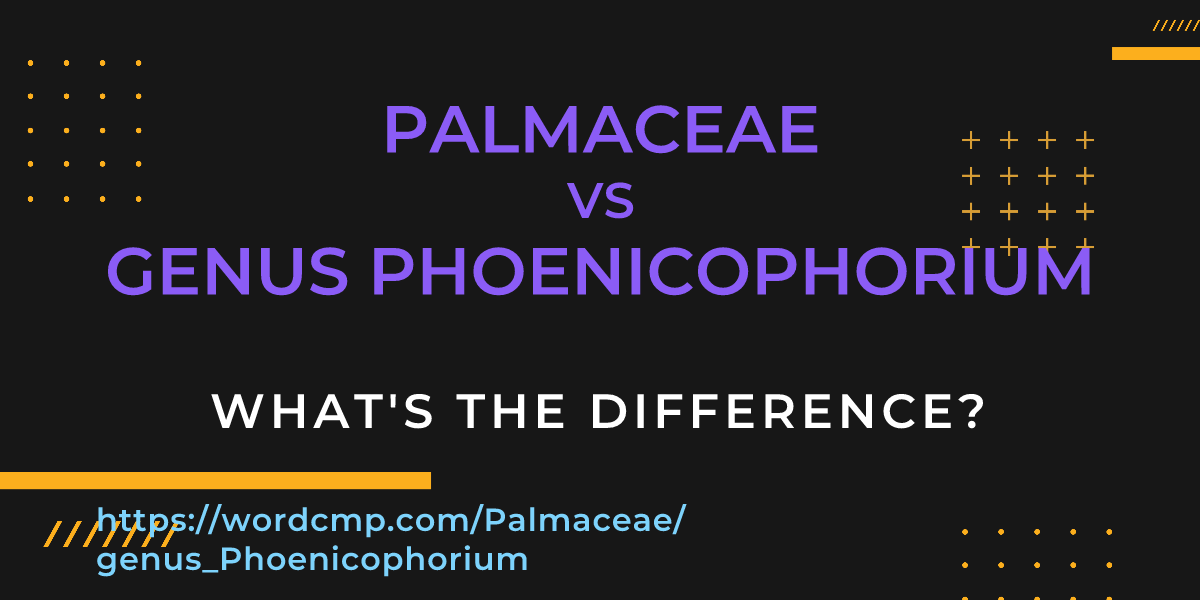 Difference between Palmaceae and genus Phoenicophorium