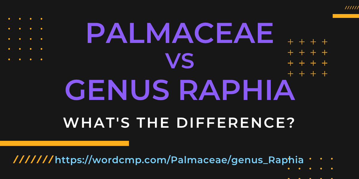Difference between Palmaceae and genus Raphia