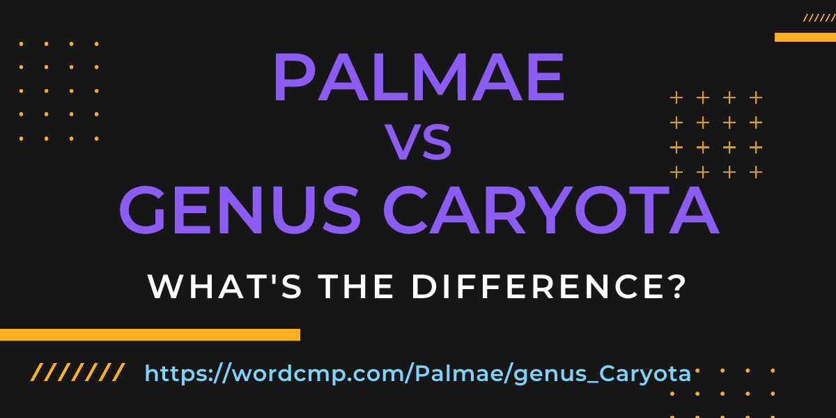 Difference between Palmae and genus Caryota