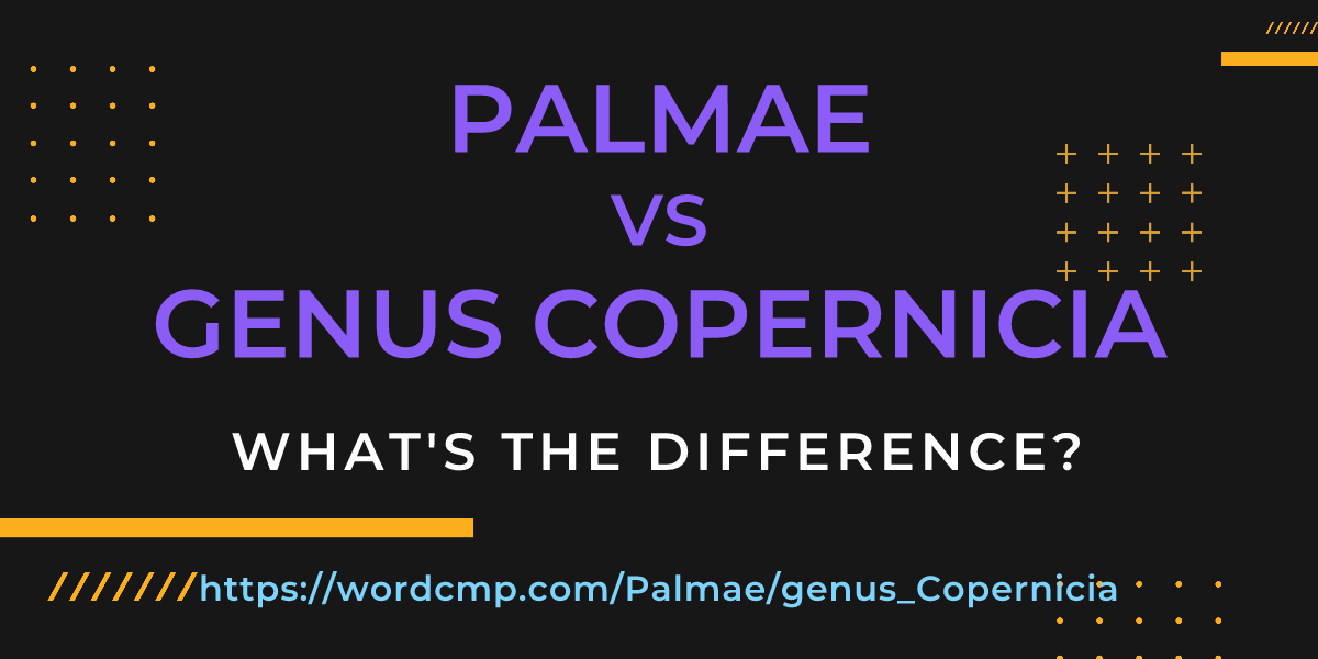 Difference between Palmae and genus Copernicia