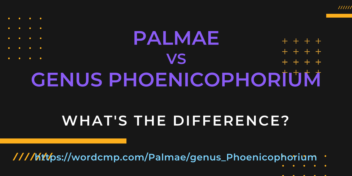Difference between Palmae and genus Phoenicophorium