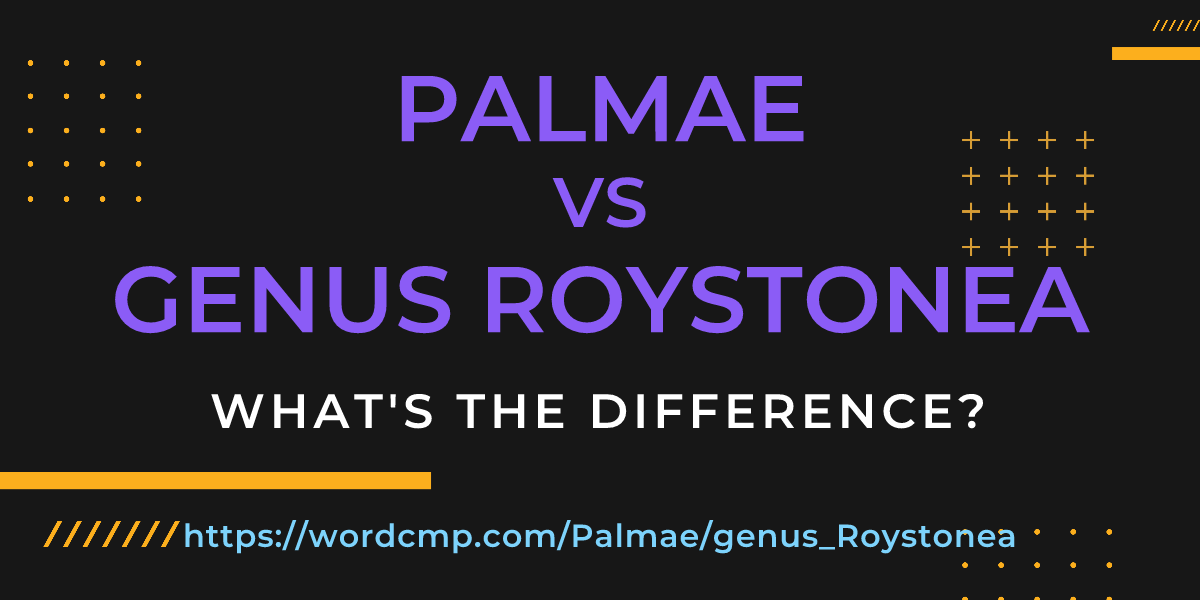 Difference between Palmae and genus Roystonea