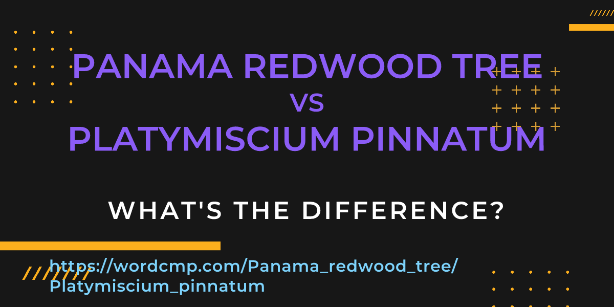 Difference between Panama redwood tree and Platymiscium pinnatum