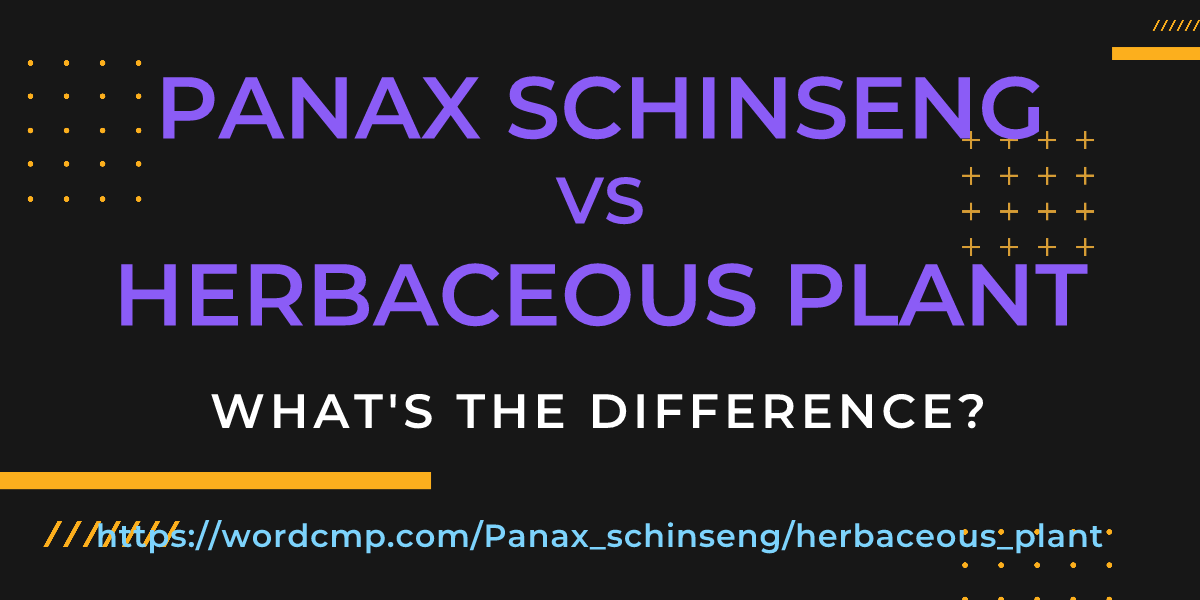 Difference between Panax schinseng and herbaceous plant