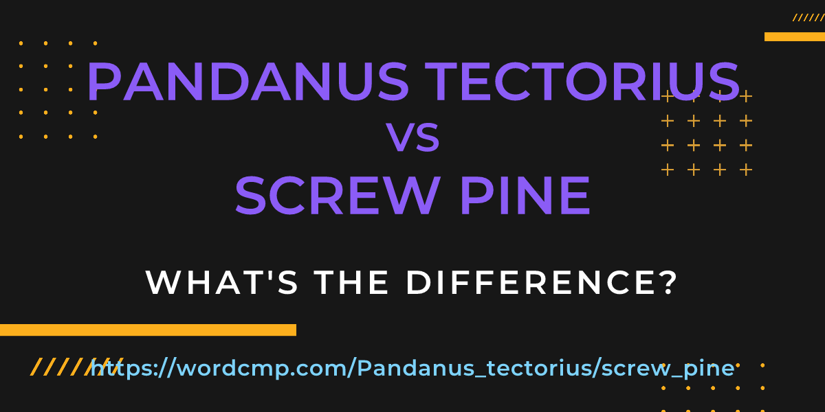 Difference between Pandanus tectorius and screw pine
