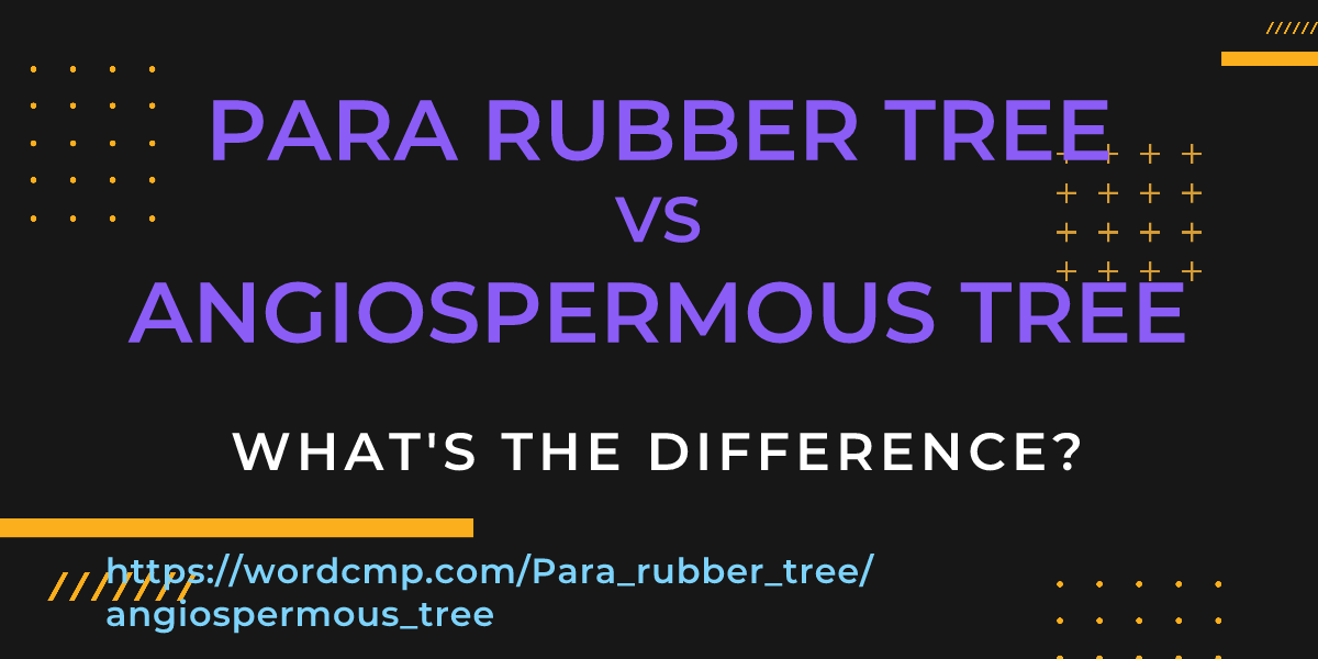 Difference between Para rubber tree and angiospermous tree