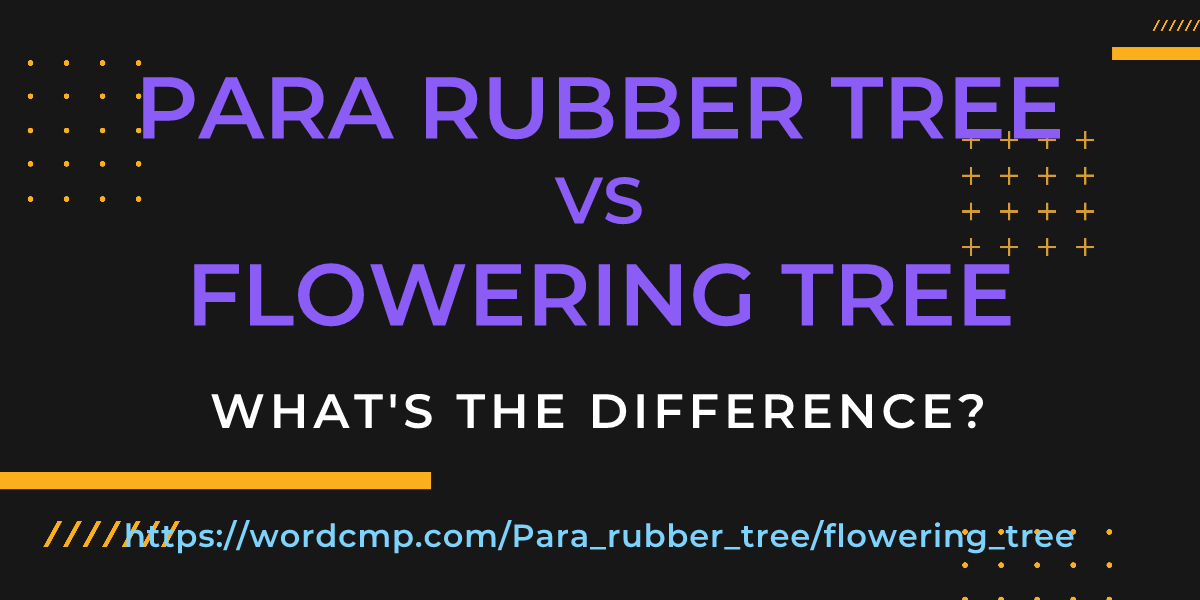 Difference between Para rubber tree and flowering tree