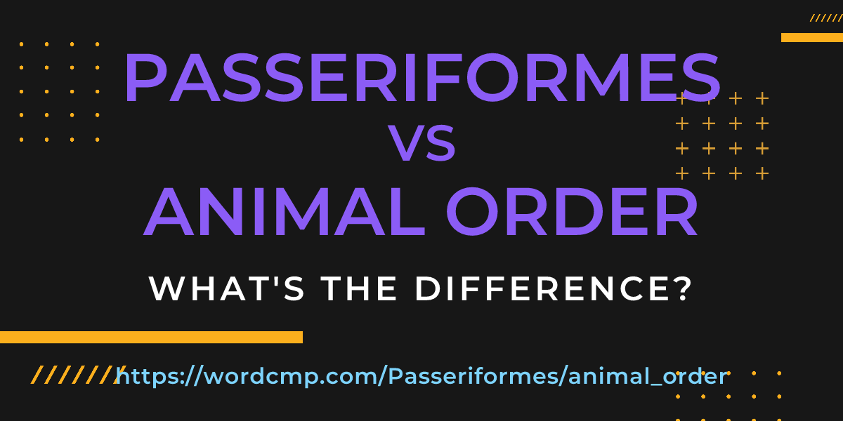 Difference between Passeriformes and animal order