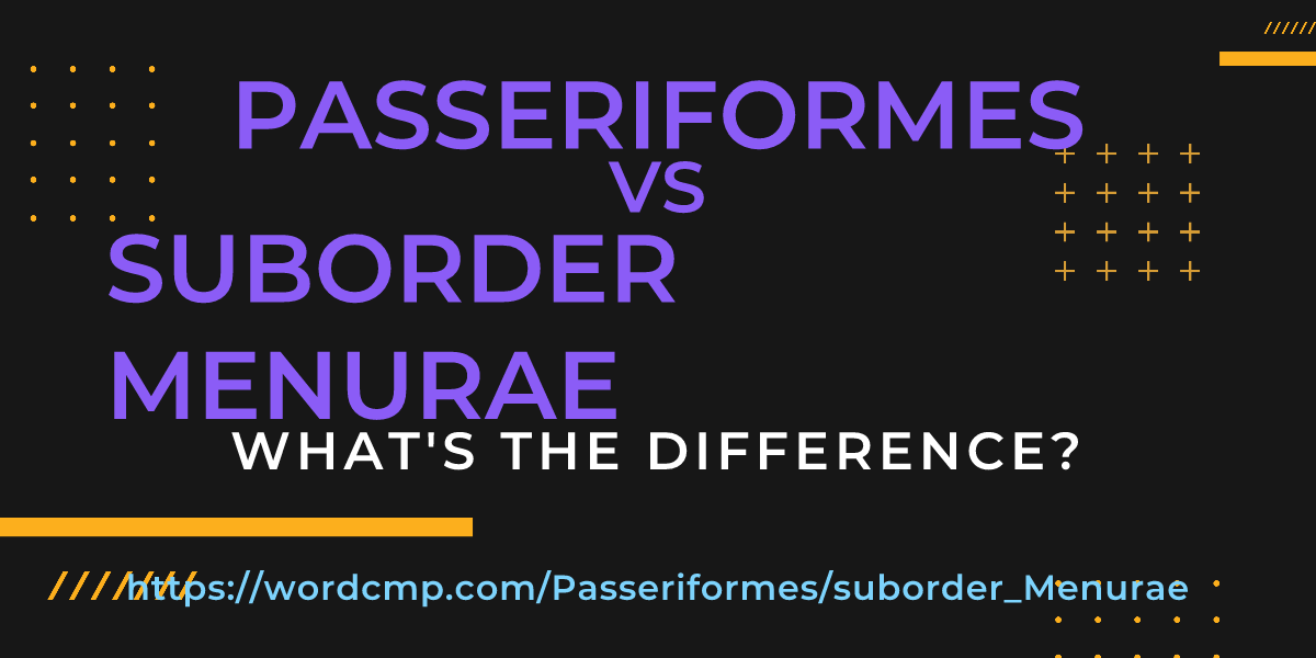 Difference between Passeriformes and suborder Menurae