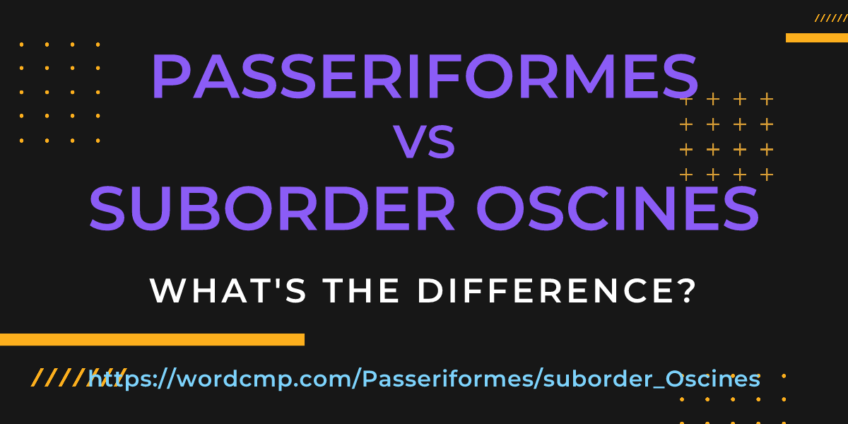 Difference between Passeriformes and suborder Oscines