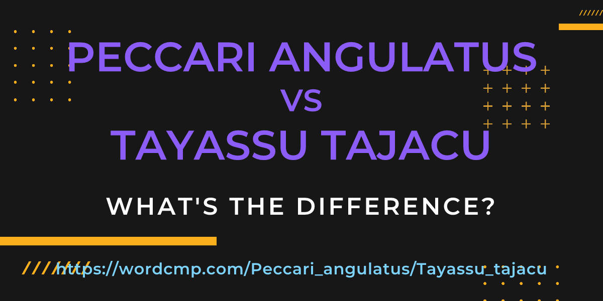Difference between Peccari angulatus and Tayassu tajacu