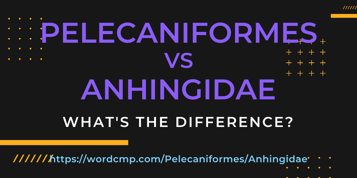 Difference between Pelecaniformes and Anhingidae