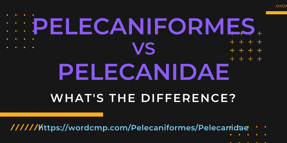Difference between Pelecaniformes and Pelecanidae