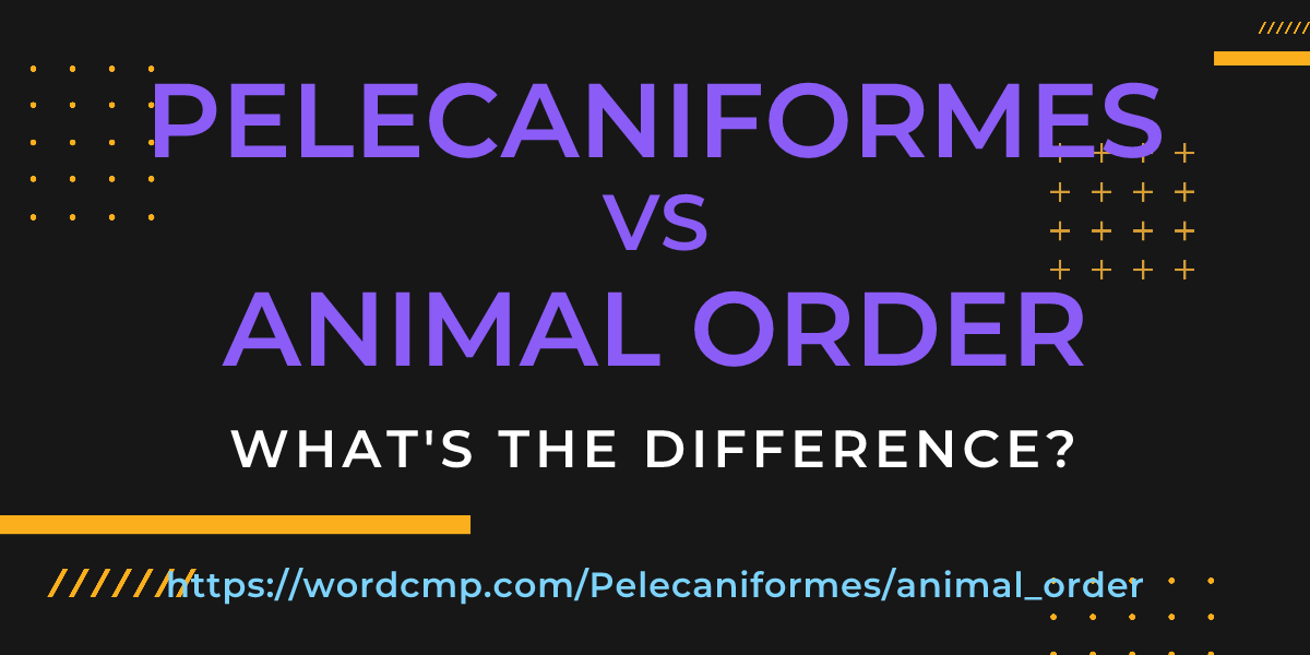 Difference between Pelecaniformes and animal order