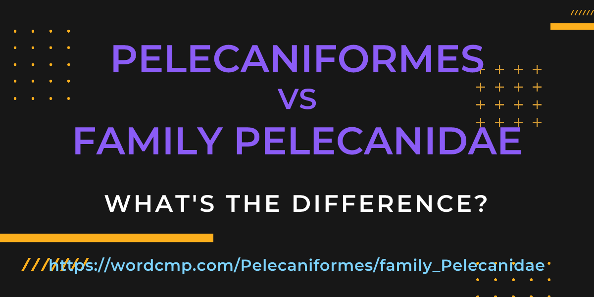 Difference between Pelecaniformes and family Pelecanidae