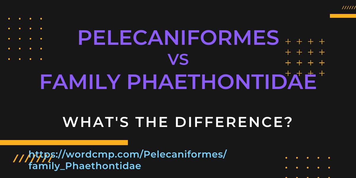 Difference between Pelecaniformes and family Phaethontidae