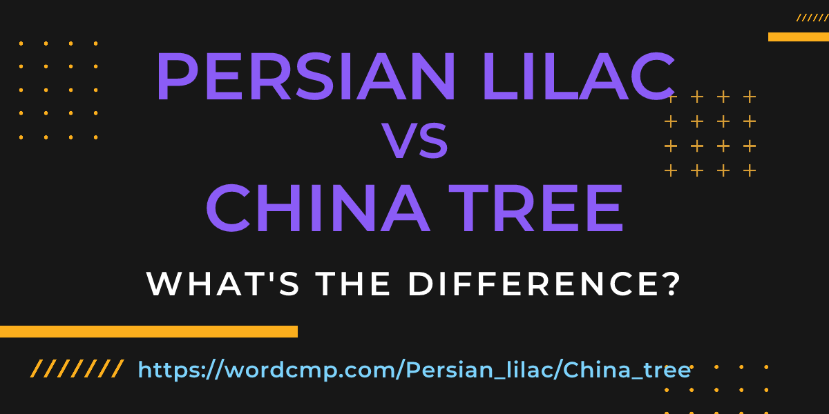 Difference between Persian lilac and China tree