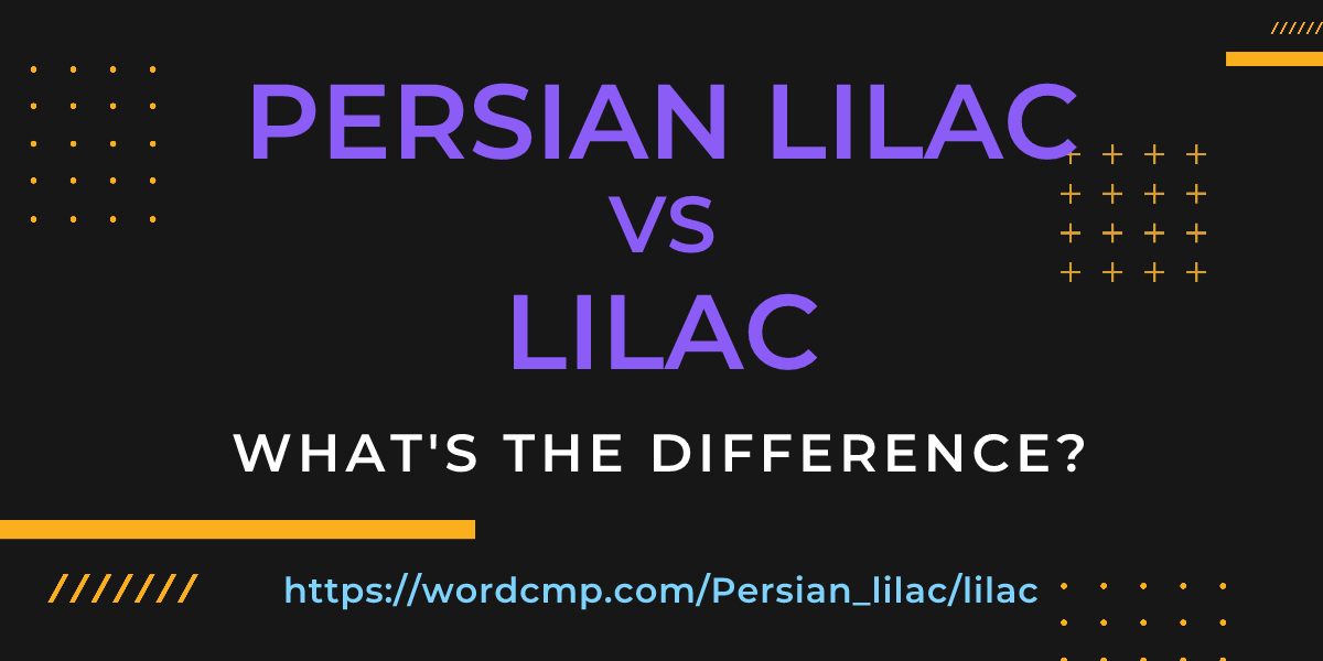 Difference between Persian lilac and lilac