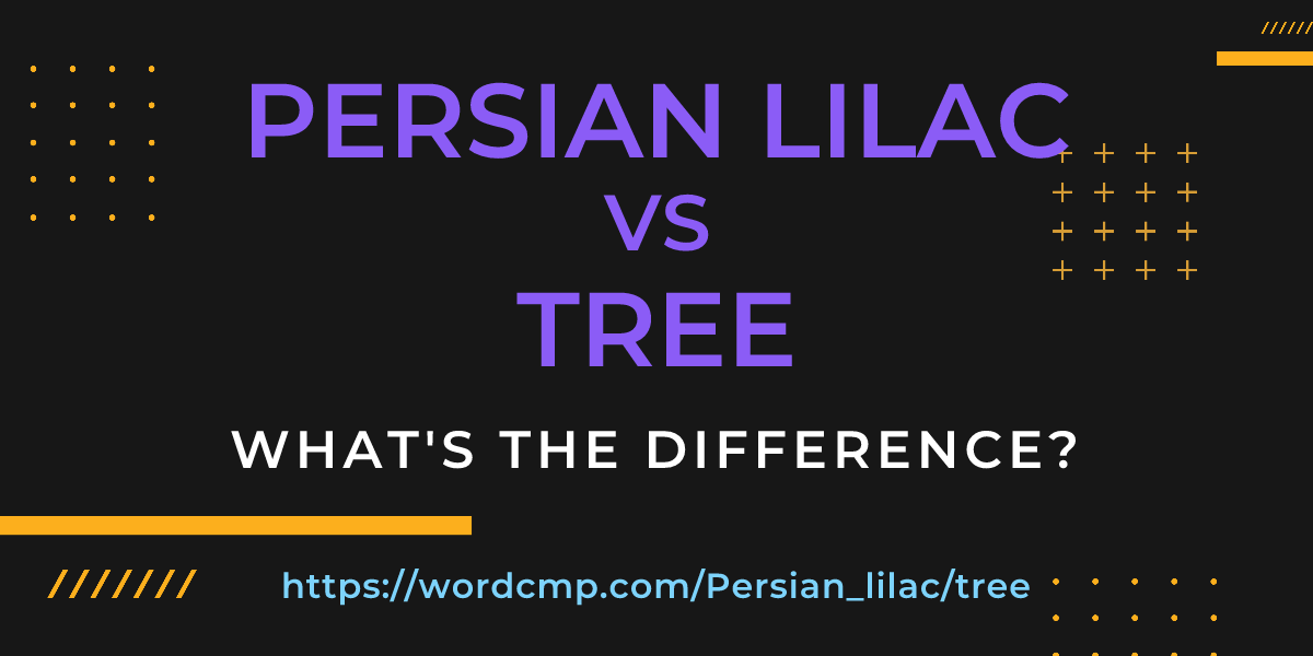 Difference between Persian lilac and tree