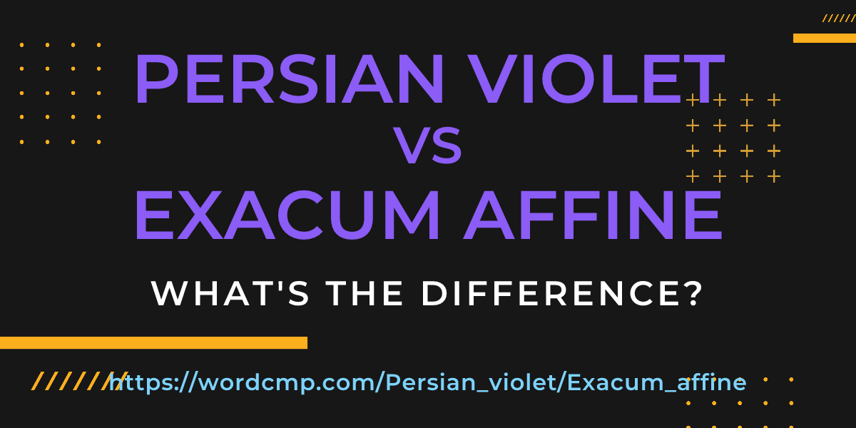 Difference between Persian violet and Exacum affine