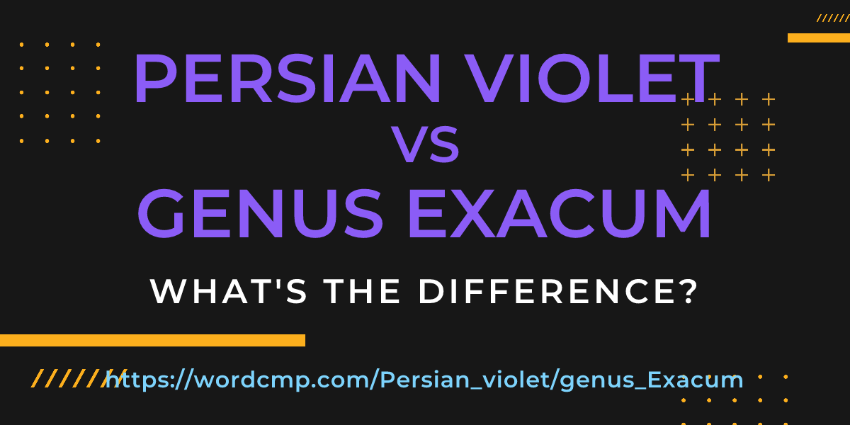 Difference between Persian violet and genus Exacum