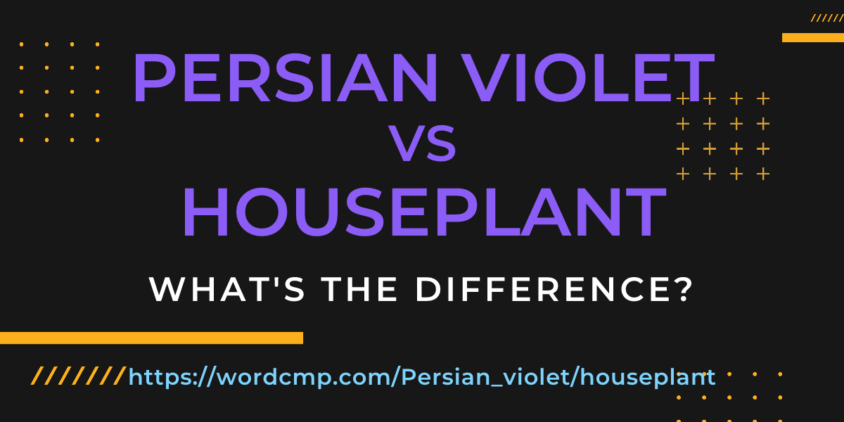 Difference between Persian violet and houseplant