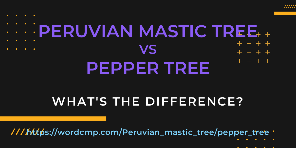 Difference between Peruvian mastic tree and pepper tree