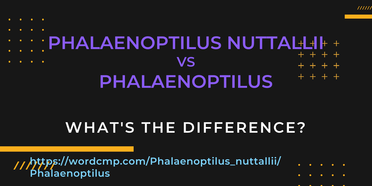 Difference between Phalaenoptilus nuttallii and Phalaenoptilus