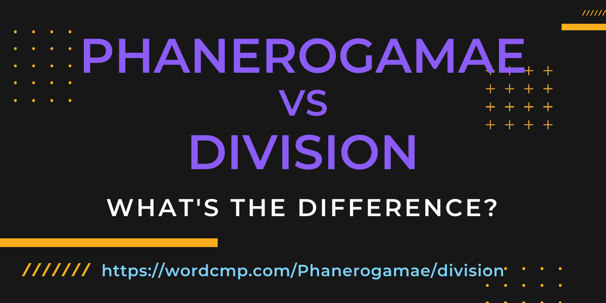 Difference between Phanerogamae and division