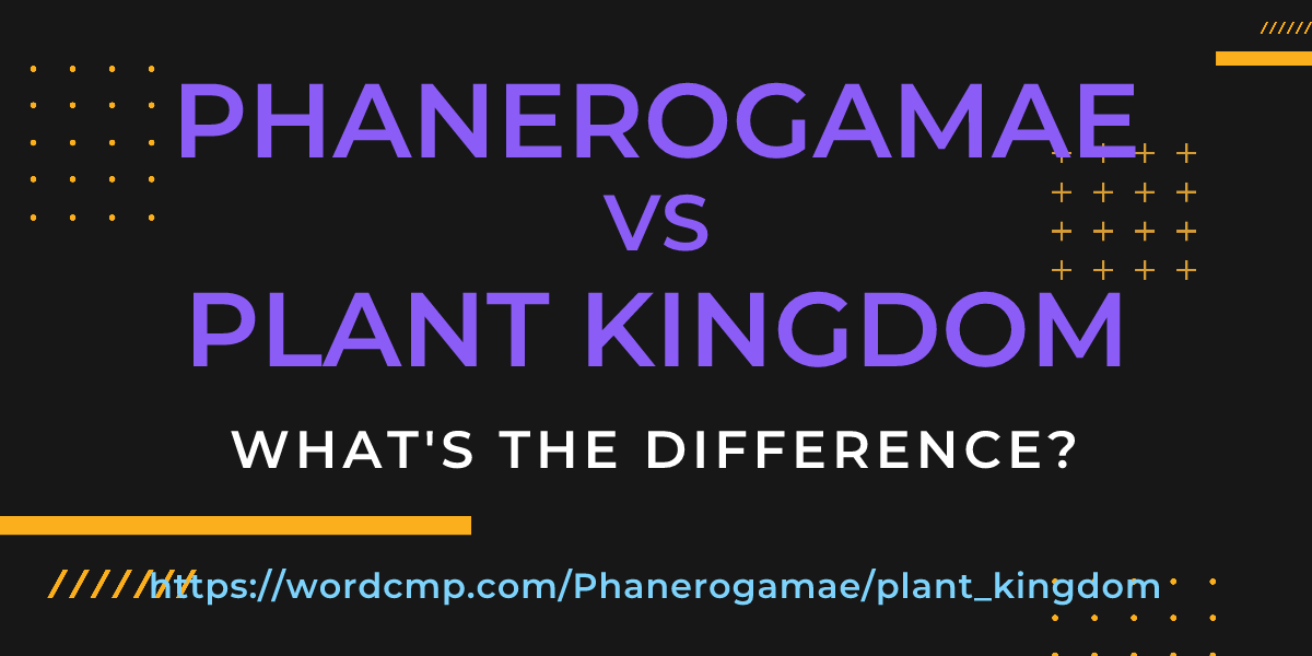 Difference between Phanerogamae and plant kingdom