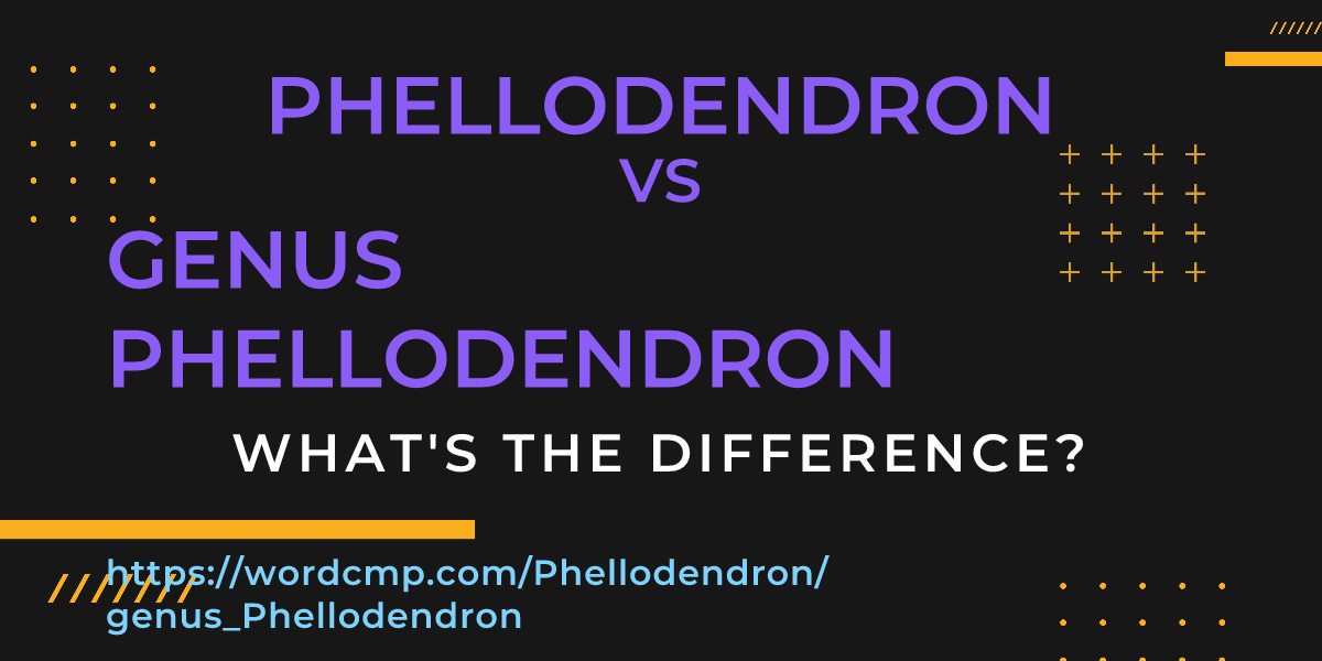 Difference between Phellodendron and genus Phellodendron