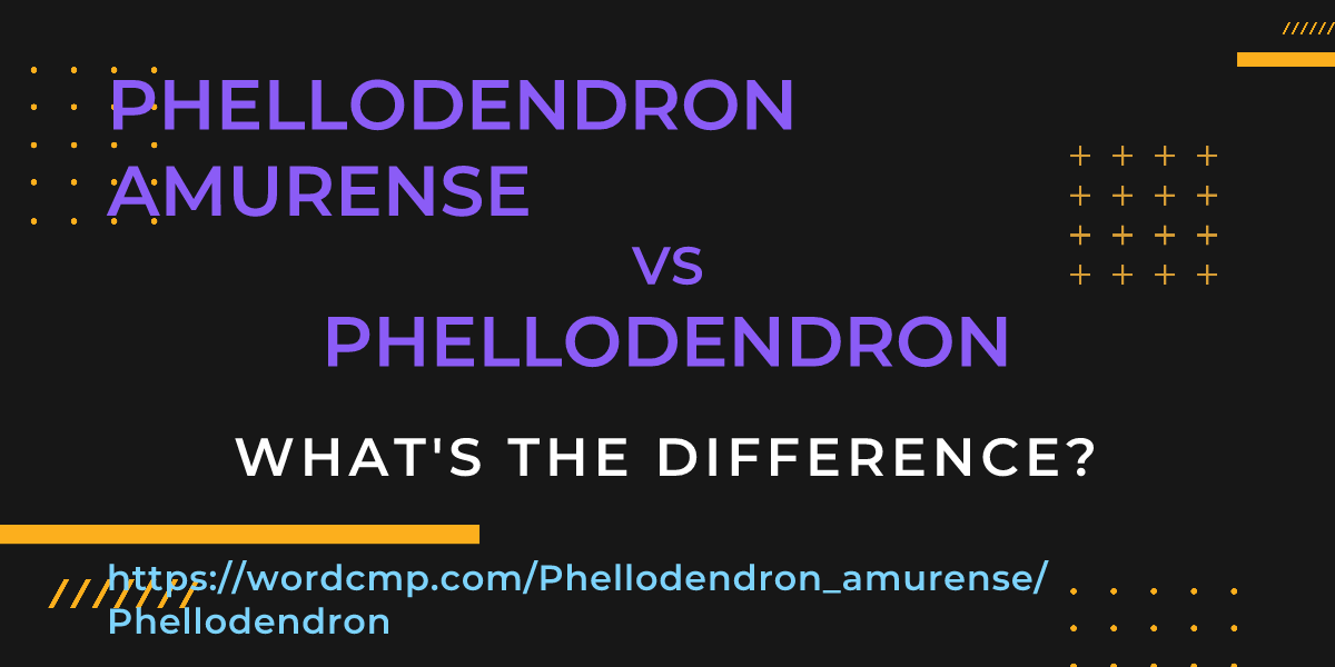 Difference between Phellodendron amurense and Phellodendron