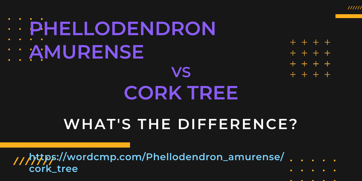 Difference between Phellodendron amurense and cork tree