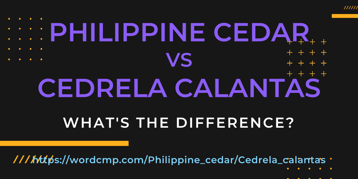 Difference between Philippine cedar and Cedrela calantas