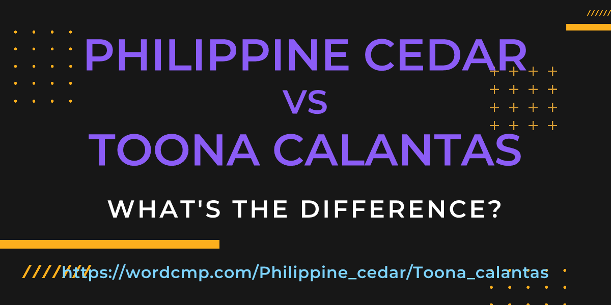 Difference between Philippine cedar and Toona calantas