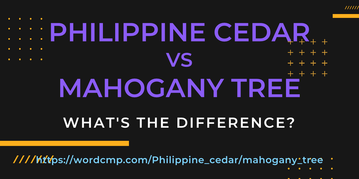 Difference between Philippine cedar and mahogany tree