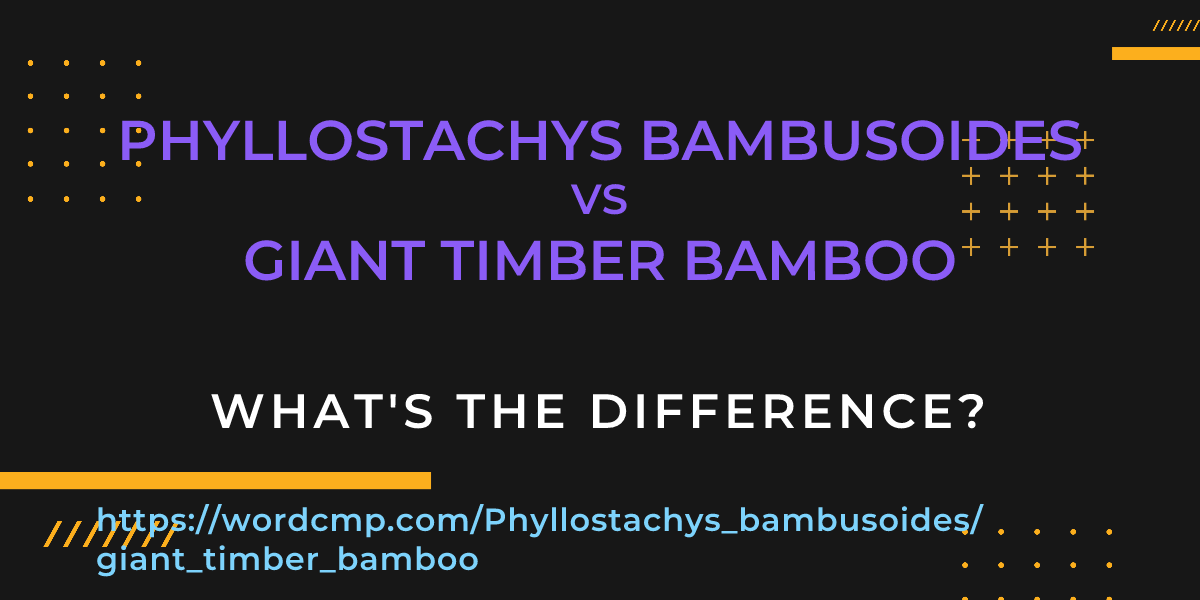 Difference between Phyllostachys bambusoides and giant timber bamboo
