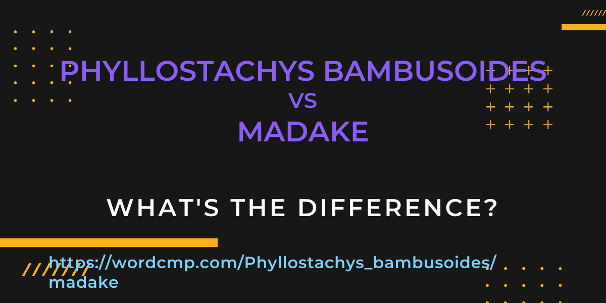 Difference between Phyllostachys bambusoides and madake