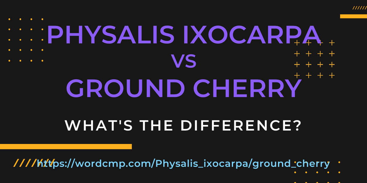 Difference between Physalis ixocarpa and ground cherry