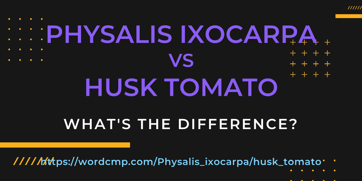 Difference between Physalis ixocarpa and husk tomato