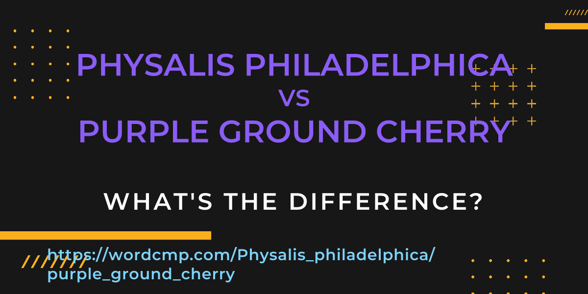 Difference between Physalis philadelphica and purple ground cherry