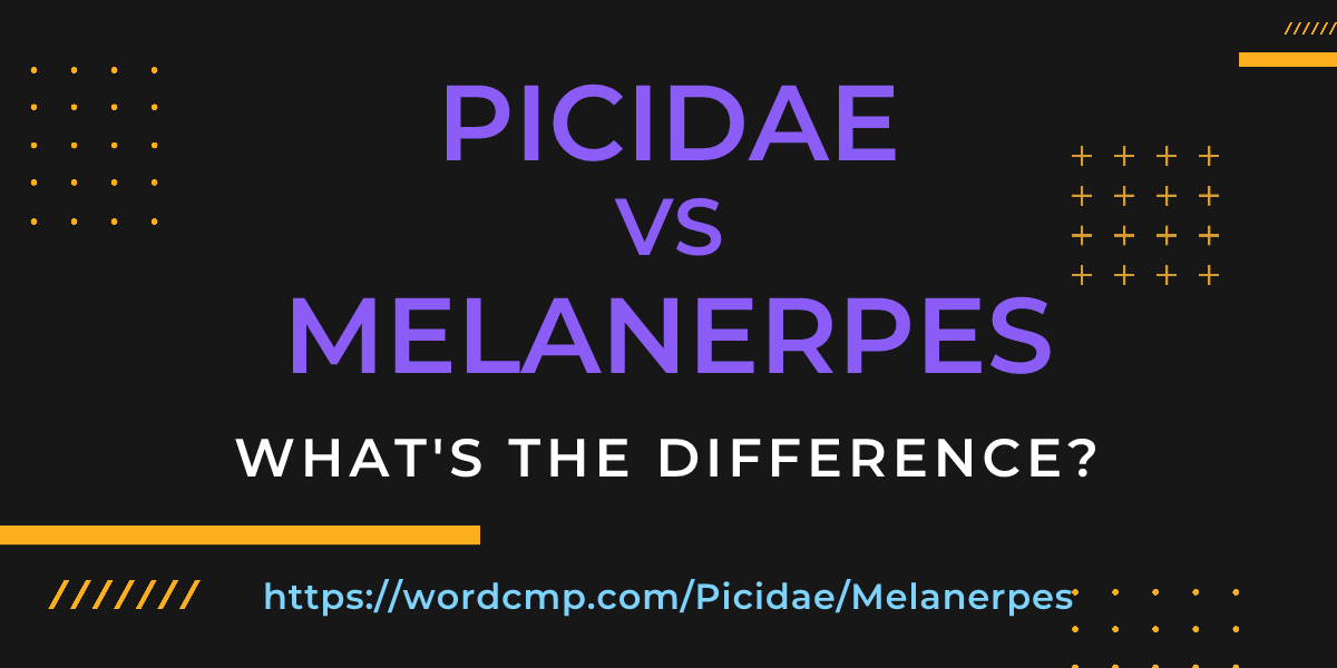 Difference between Picidae and Melanerpes